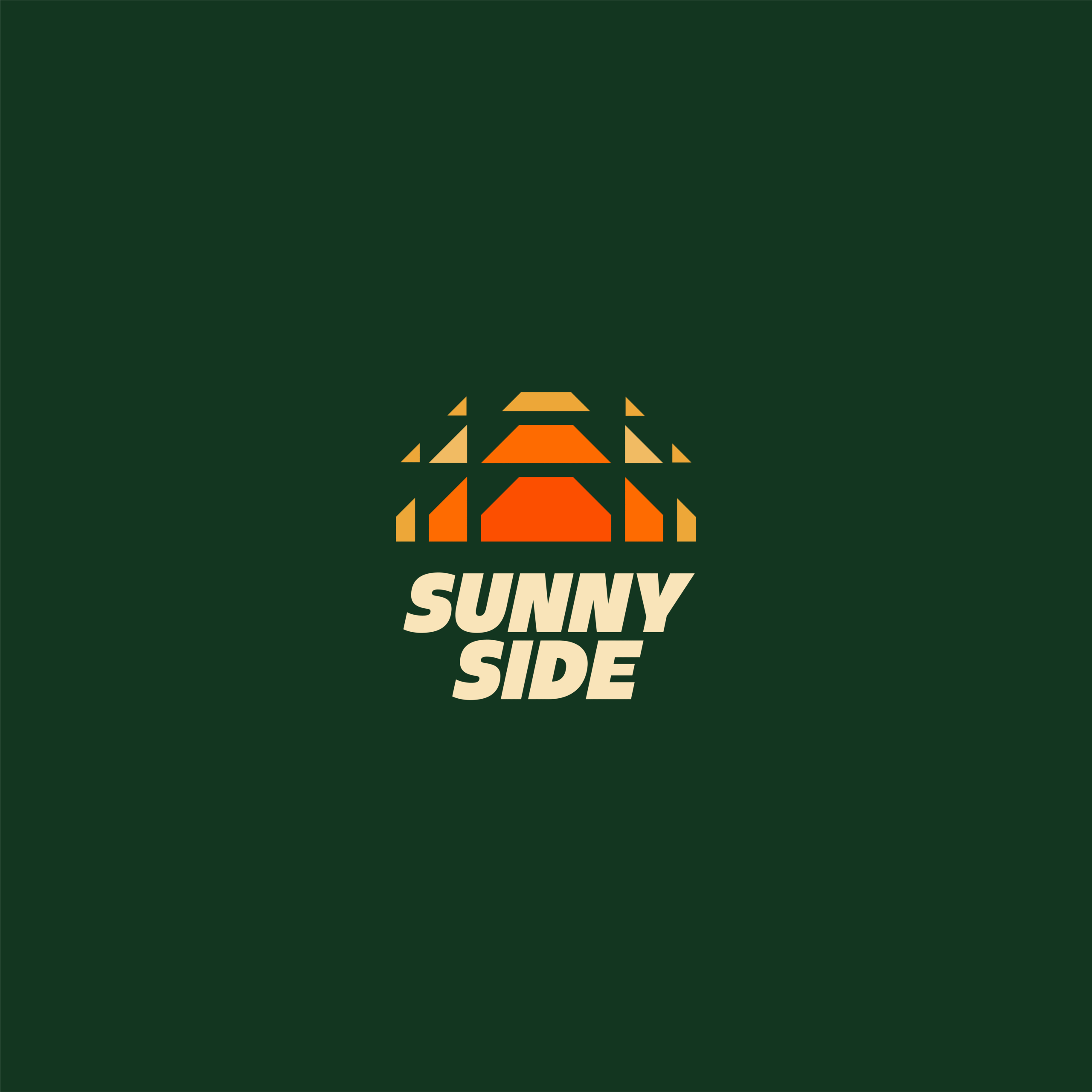 Road to the jungle