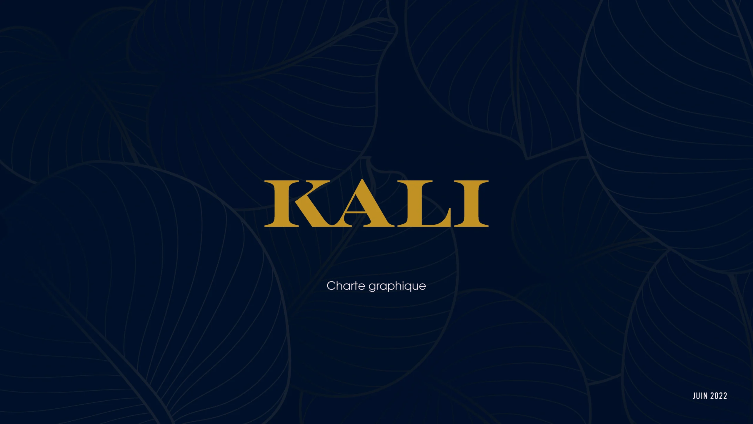 Projet KALI — design graphique par Hugo Giorgi