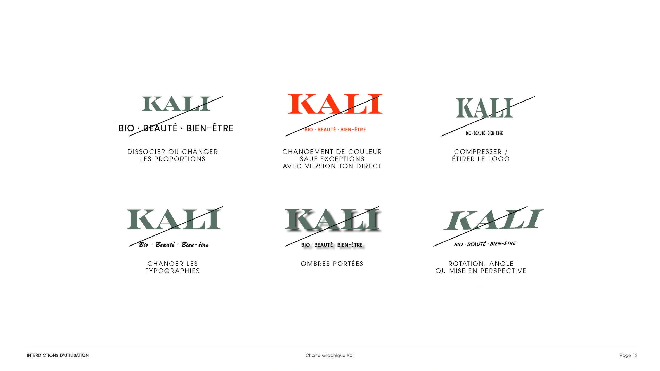 Projet KALI — design graphique par Hugo Giorgi
