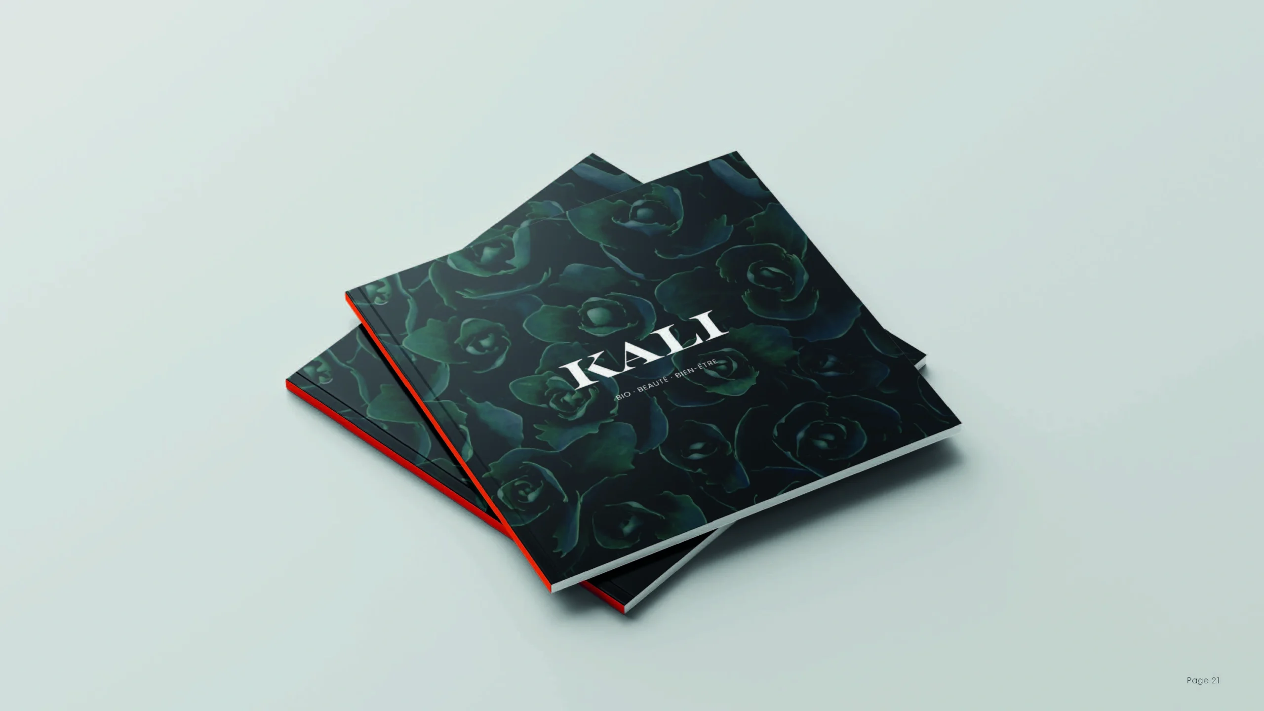 Projet KALI — design graphique par Hugo Giorgi