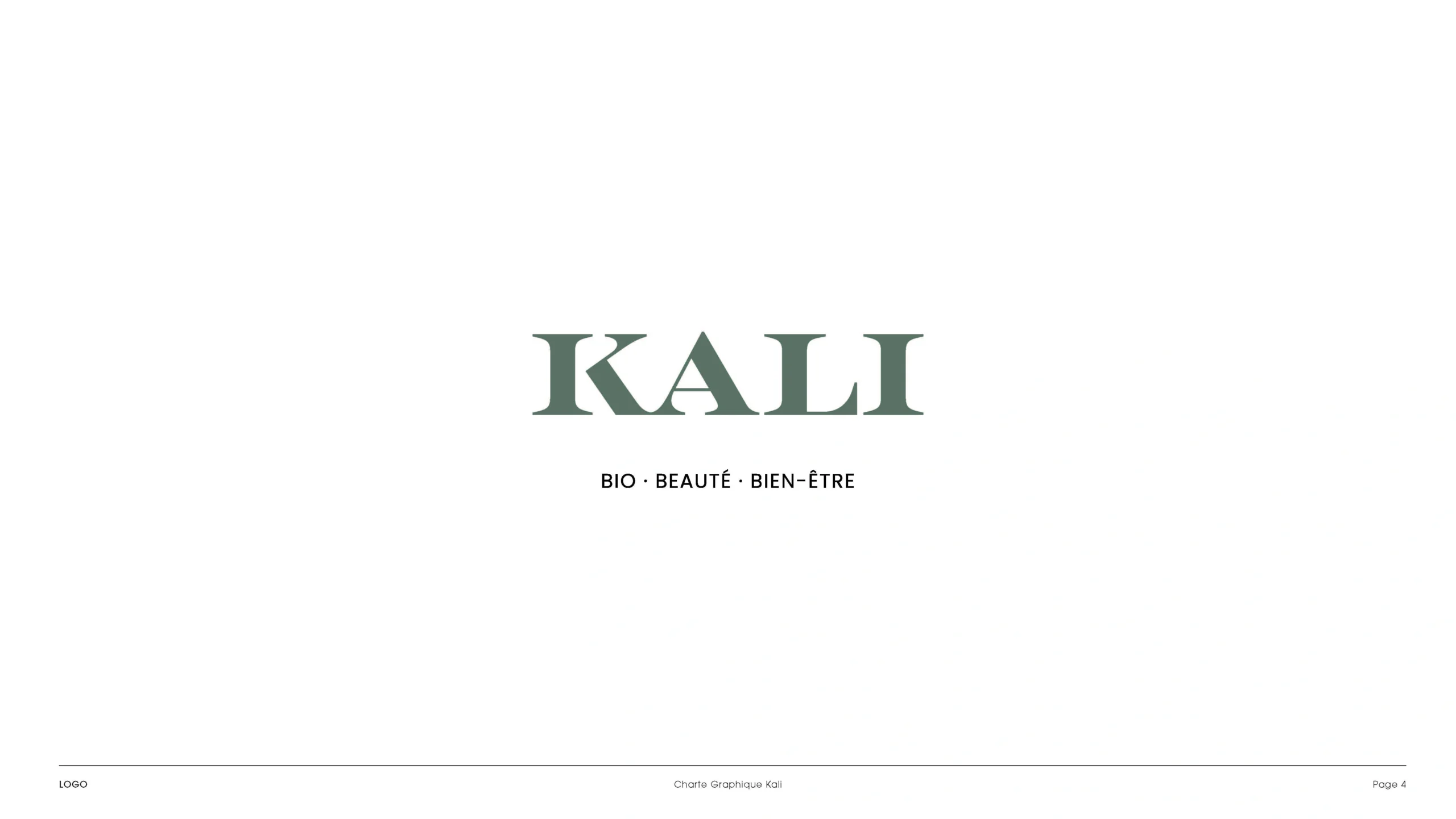 Projet KALI — design graphique par Hugo Giorgi