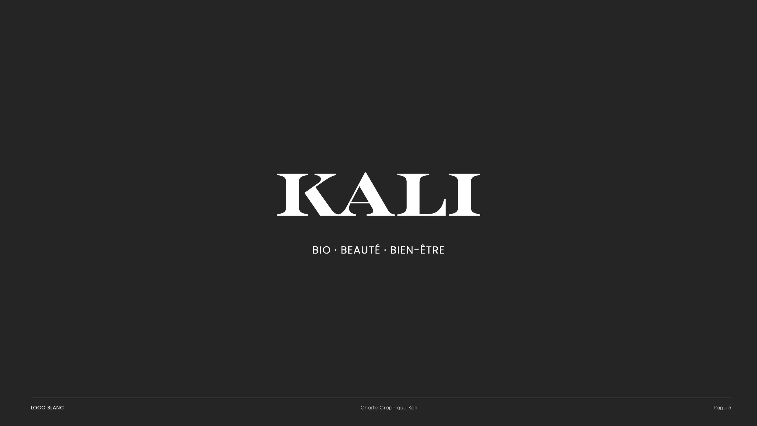 Projet KALI — design graphique par Hugo Giorgi