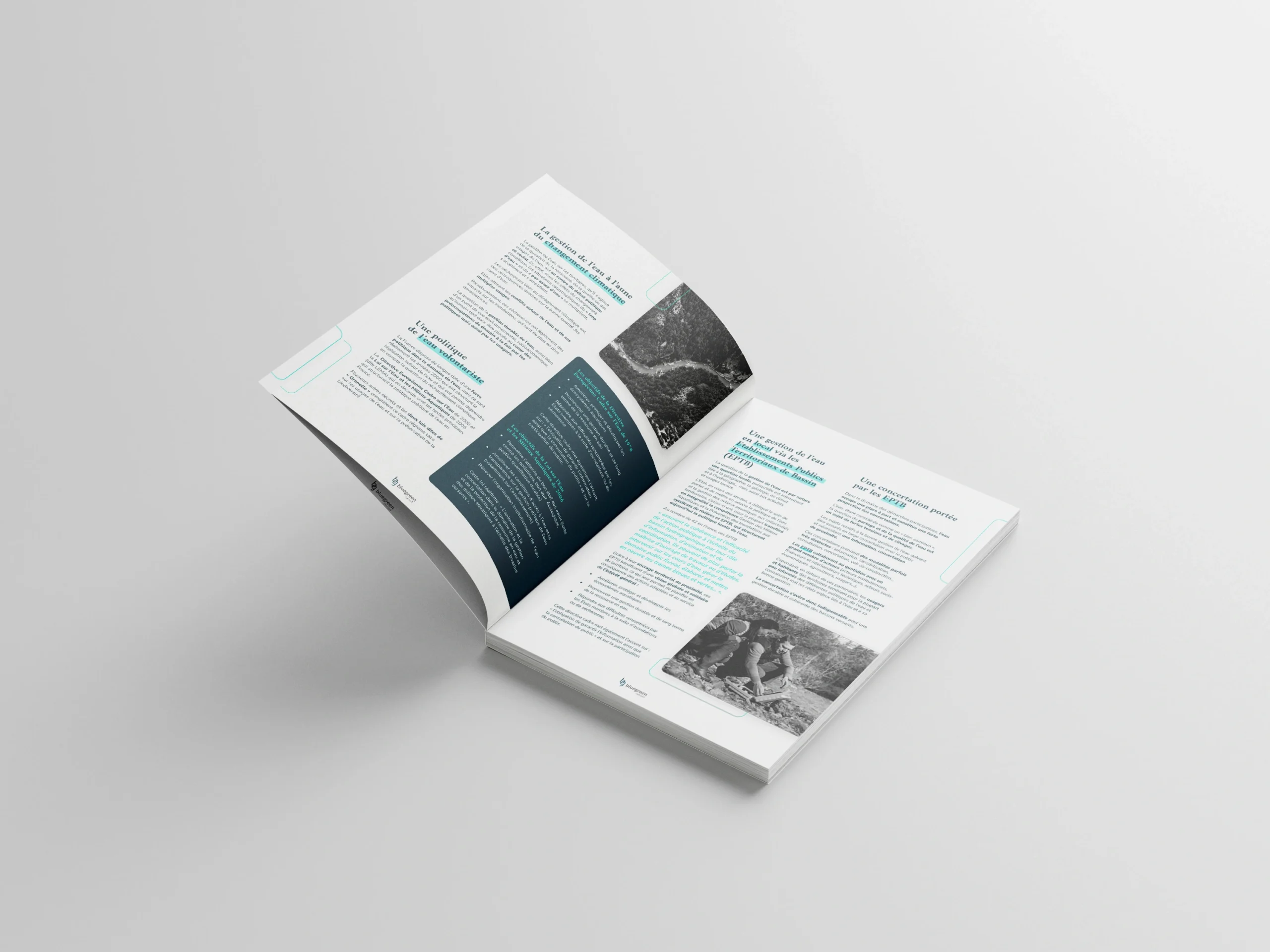 BlueGreen – Conseil