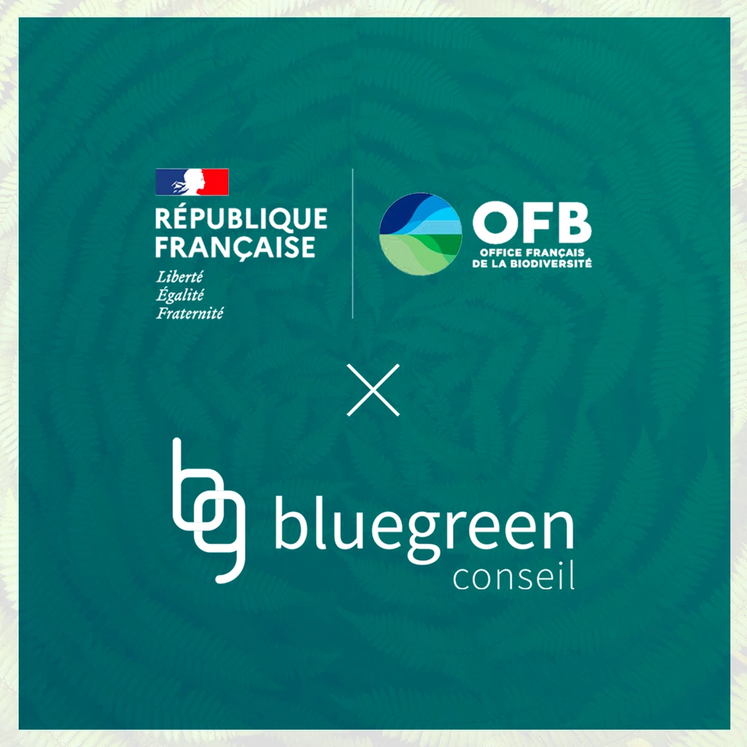 BlueGreen – Conseil