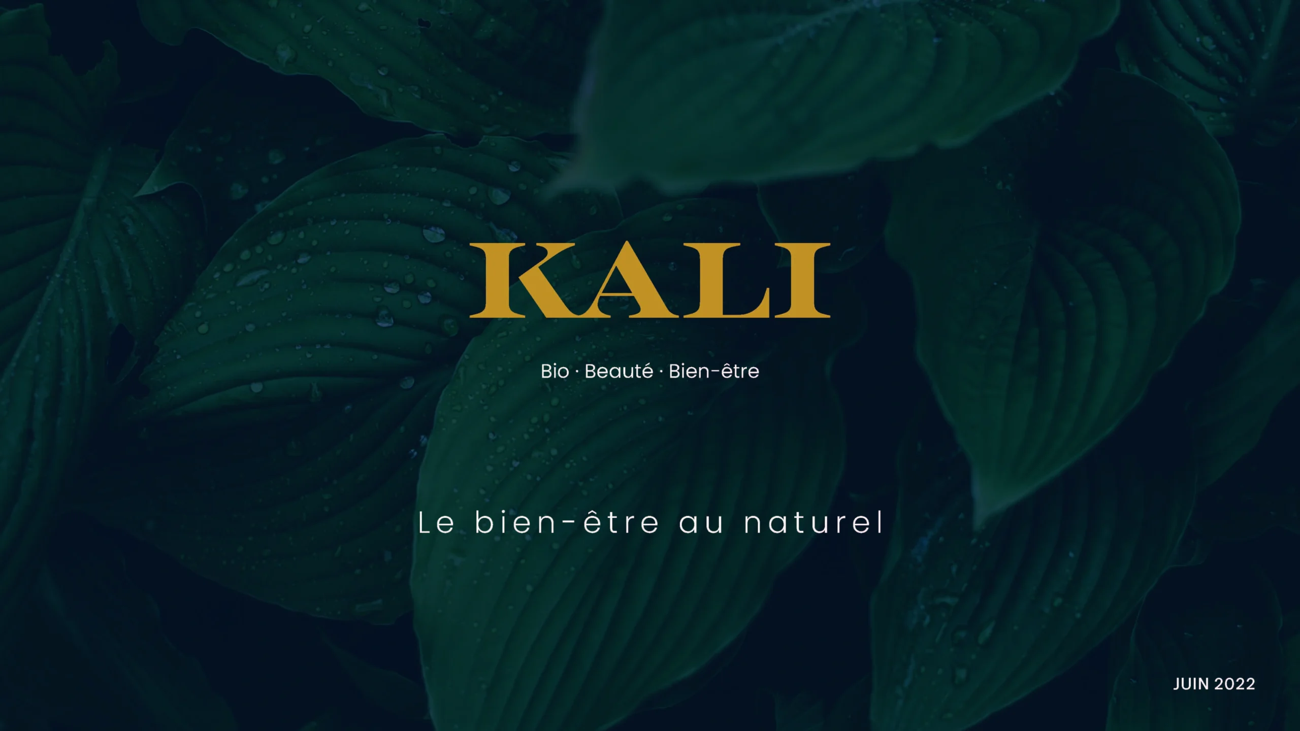 Projet KALI — design graphique par Hugo Giorgi