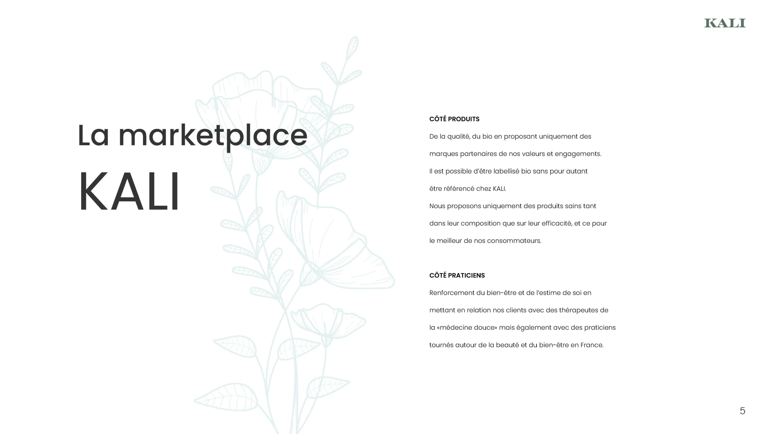 Projet KALI — design graphique par Hugo Giorgi