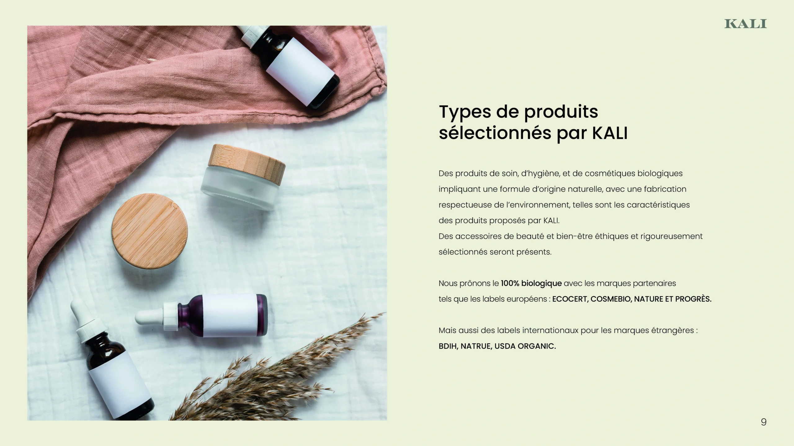 Projet KALI — design graphique par Hugo Giorgi
