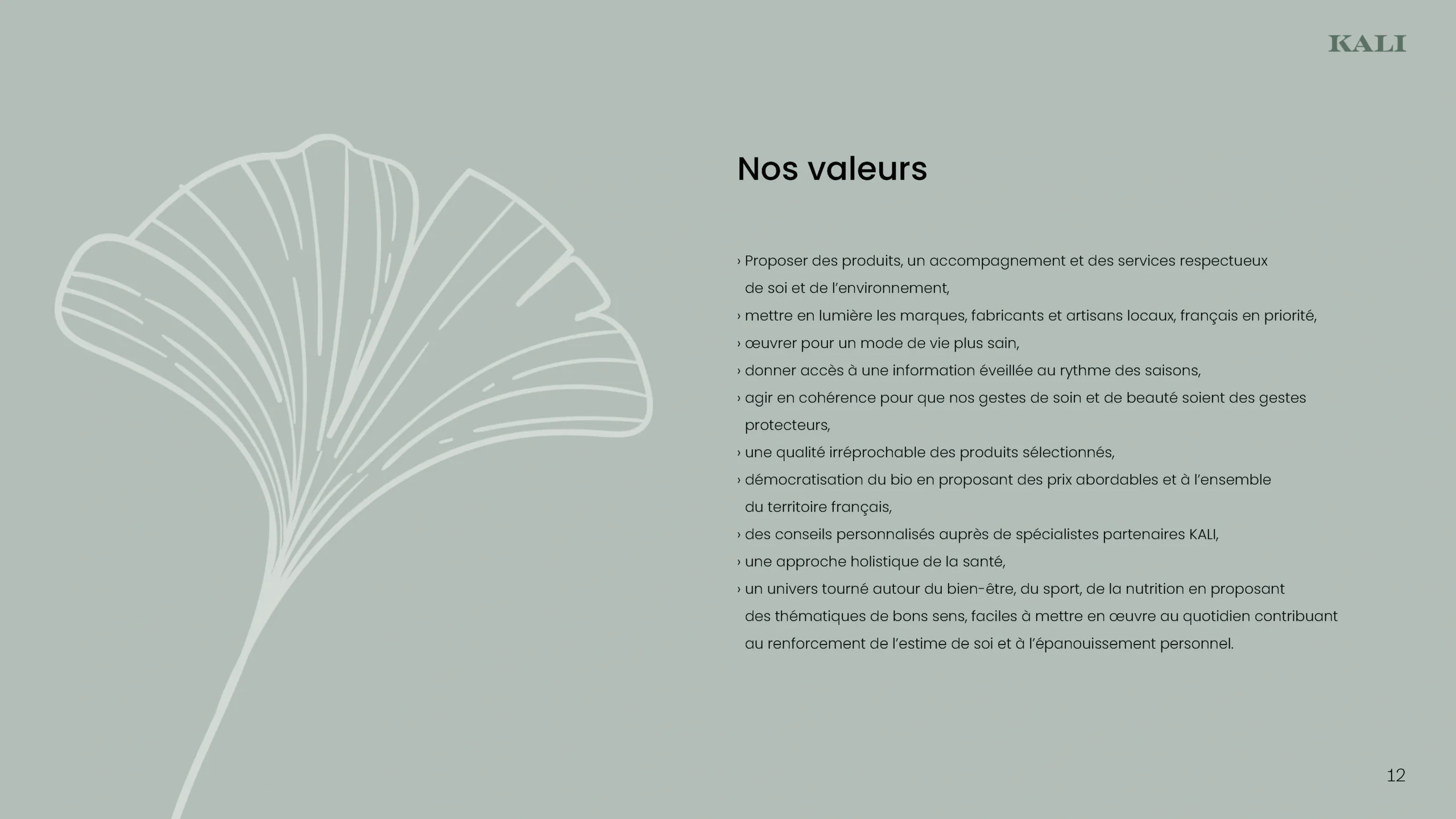 Projet KALI — design graphique par Hugo Giorgi