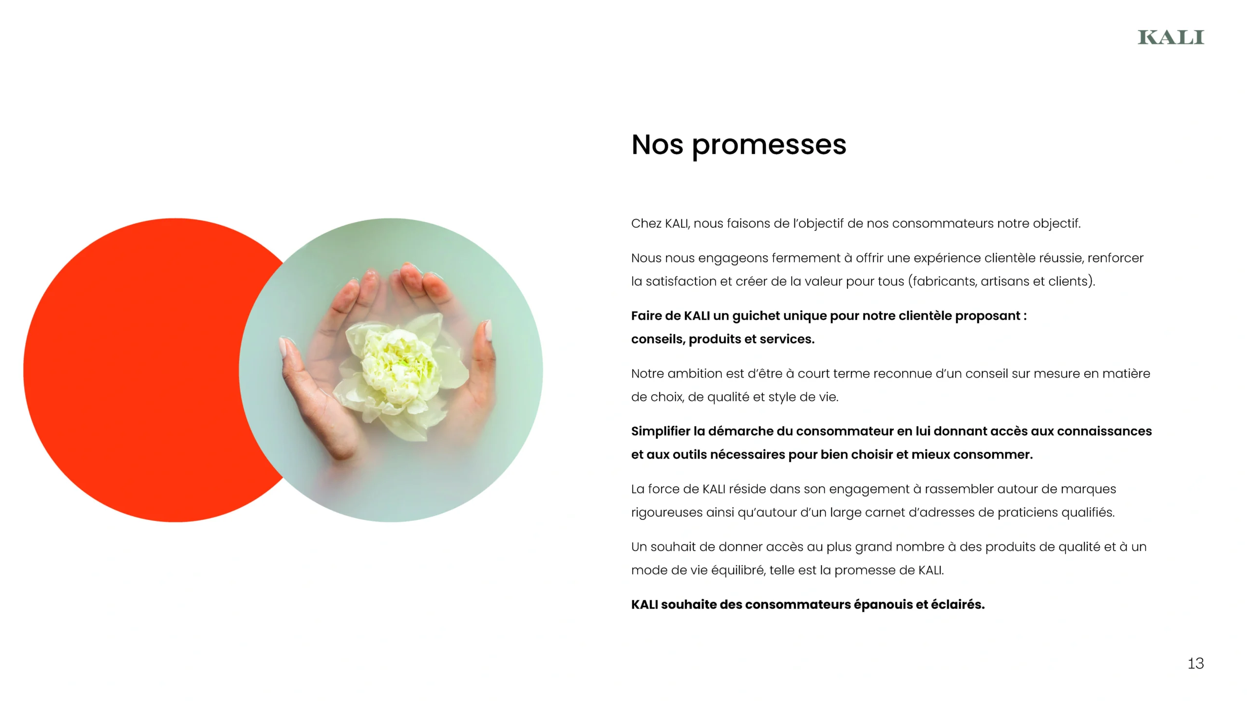 Projet KALI — design graphique par Hugo Giorgi