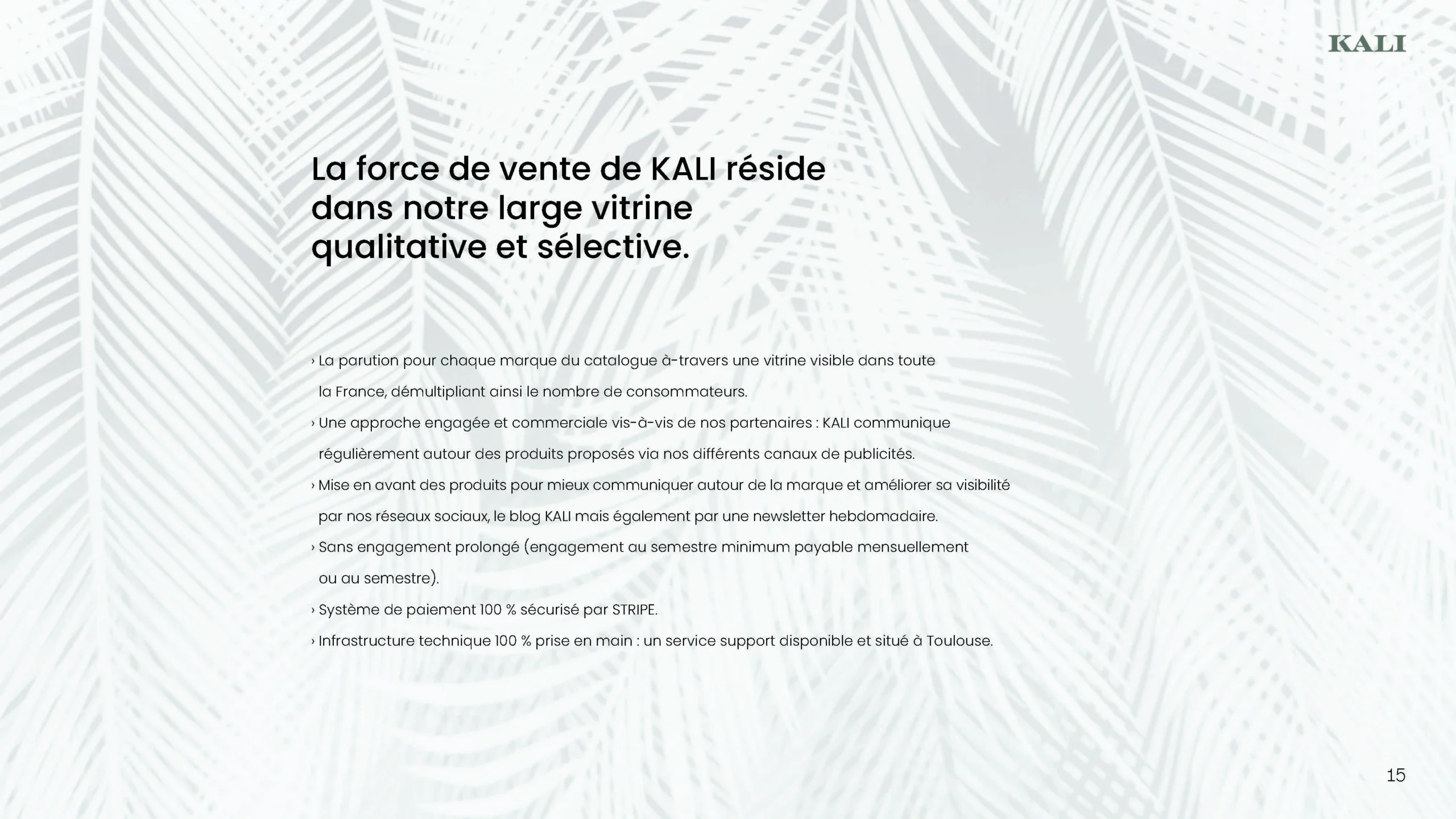Projet KALI — design graphique par Hugo Giorgi