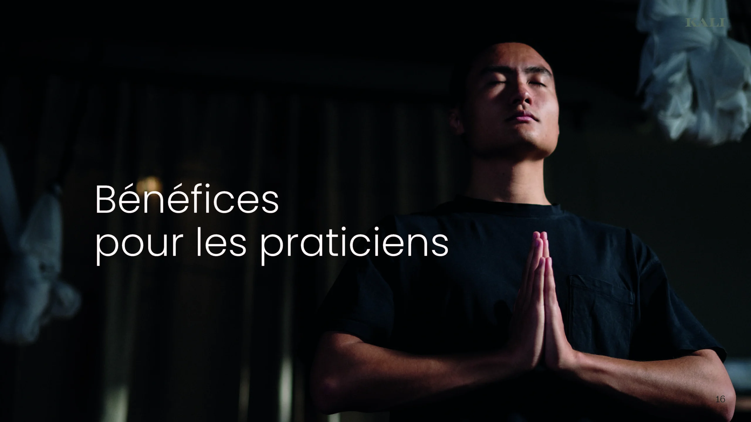 Projet KALI — design graphique par Hugo Giorgi