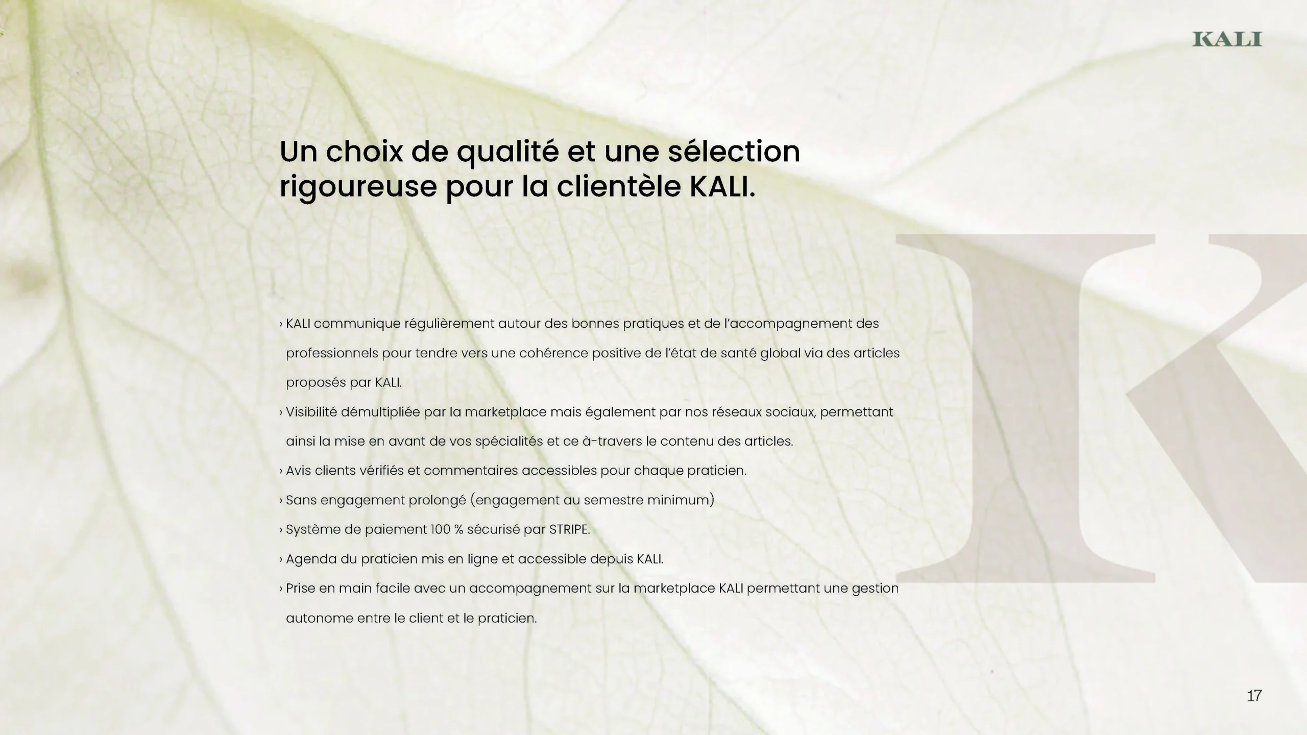 Projet KALI — design graphique par Hugo Giorgi