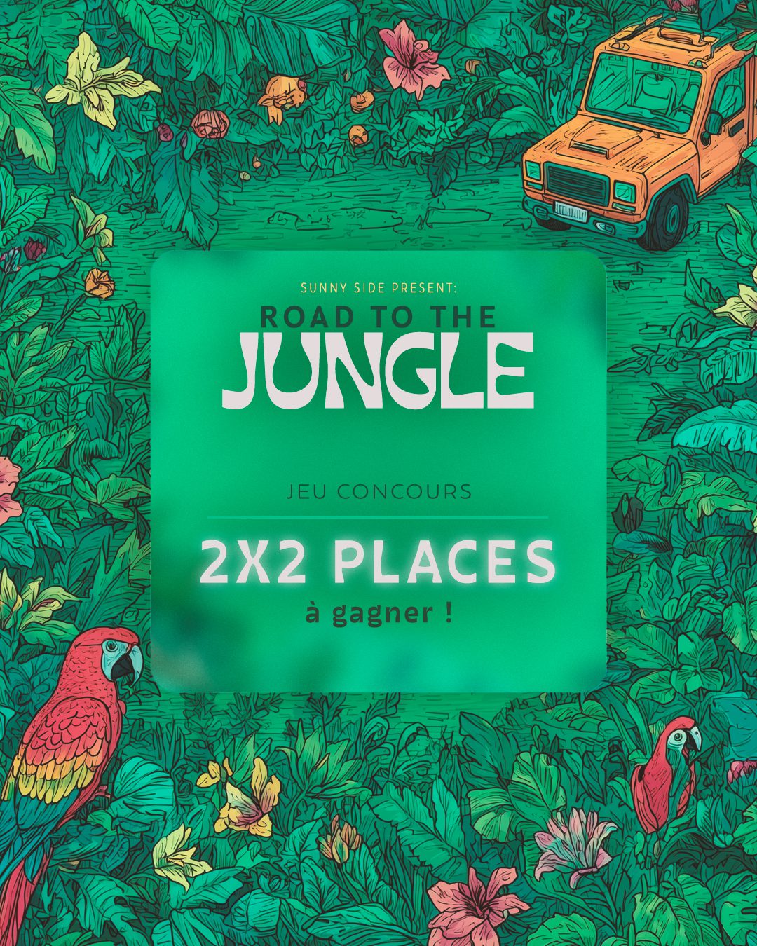 Road to the Jungle