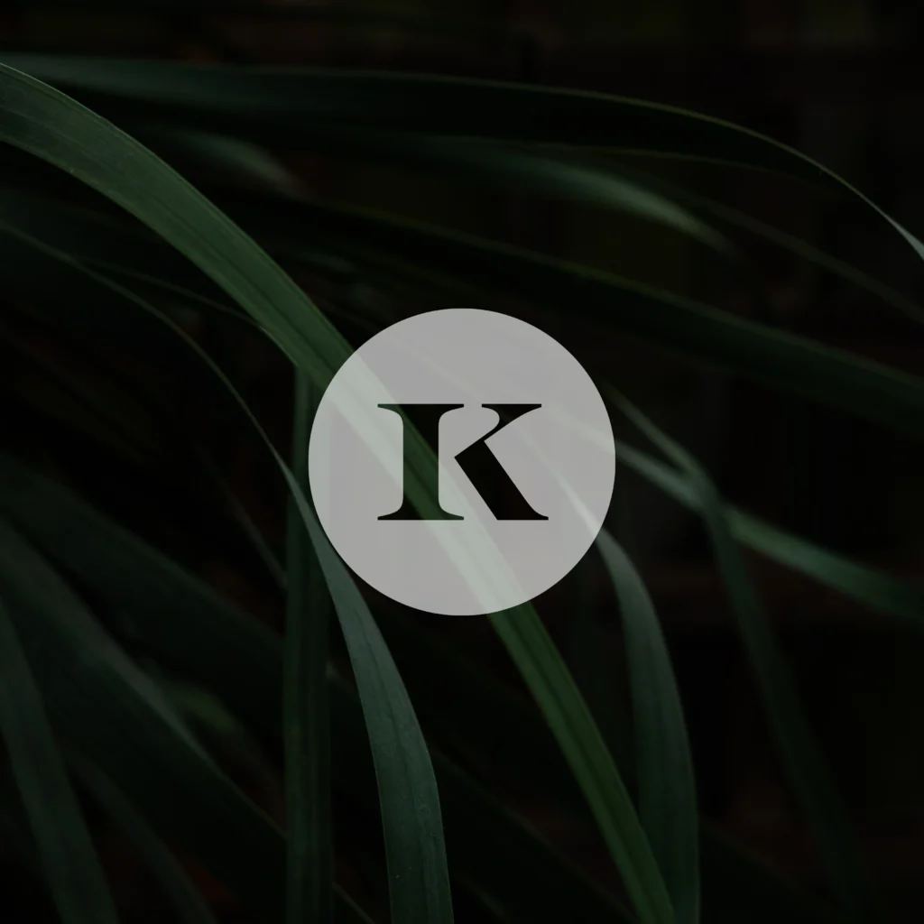 Projet KALI — design graphique par Hugo Giorgi