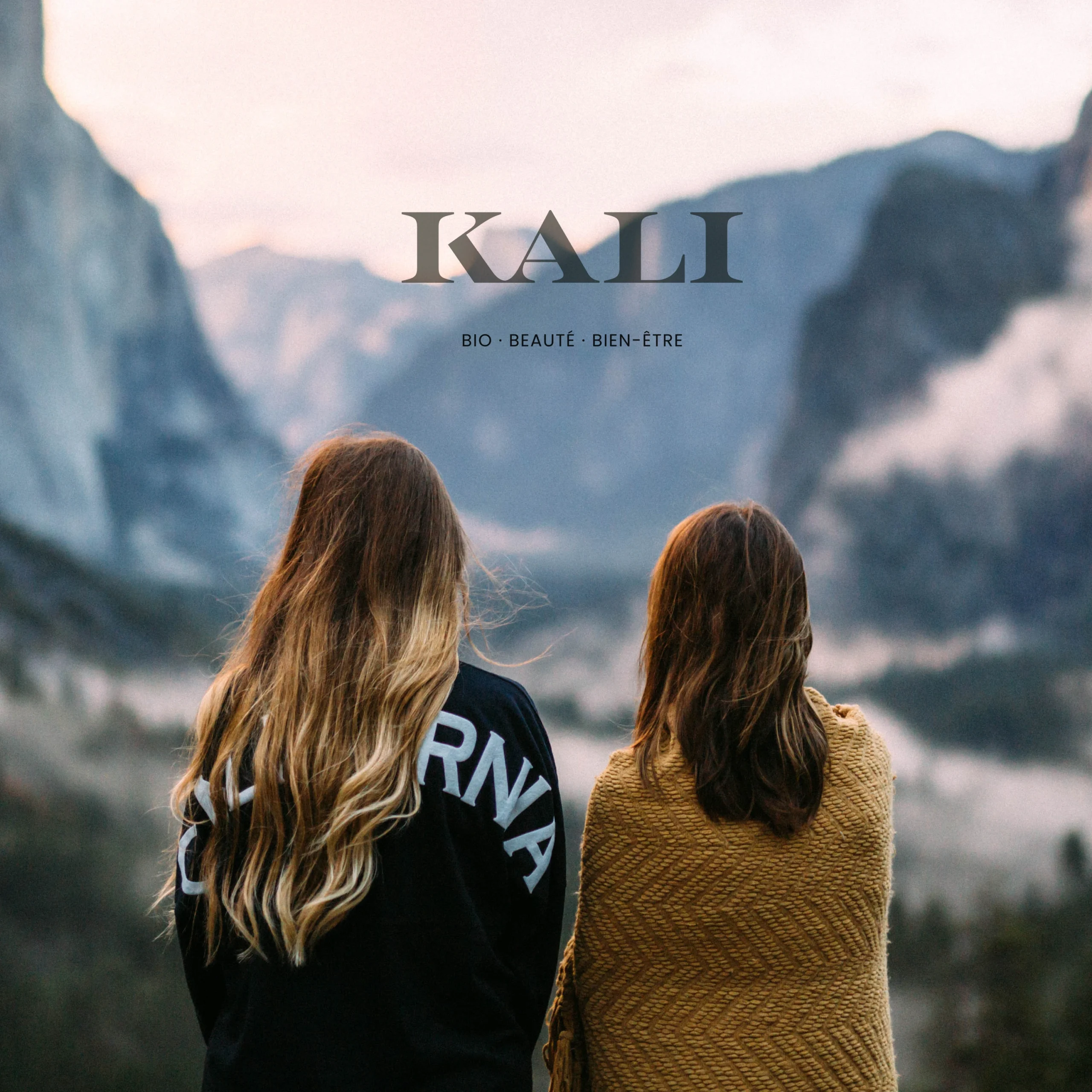 Projet KALI — design graphique par Hugo Giorgi
