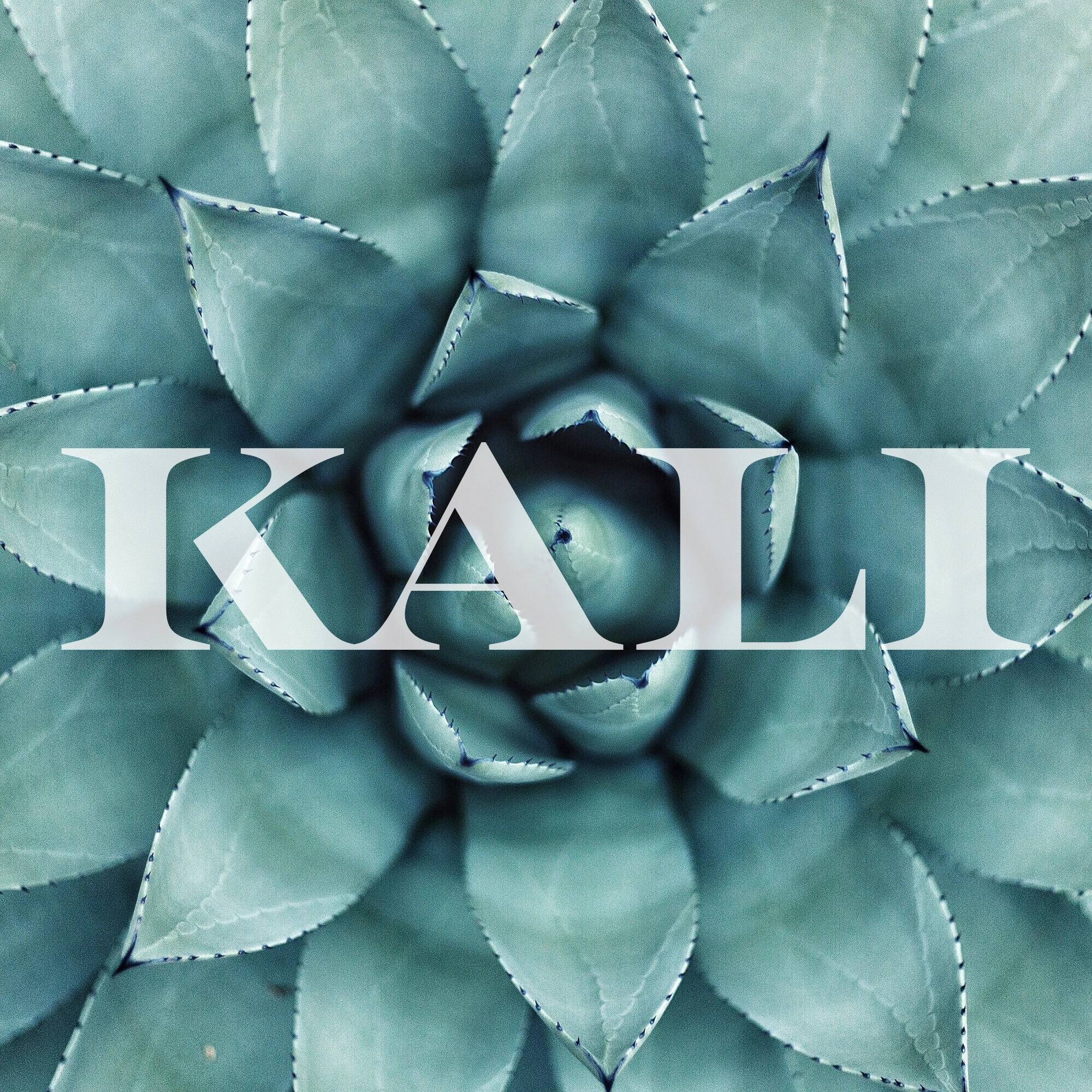 Projet KALI — design graphique par Hugo Giorgi